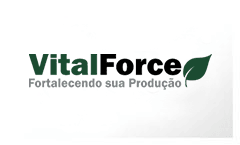 VitalForce - Fortalecendo sua Produção